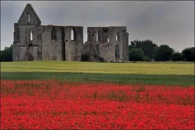 A La Flotte-en-R en Charente-Maritime, de quelle abbaye pouvez-vous voir les mouvants vestiges ?