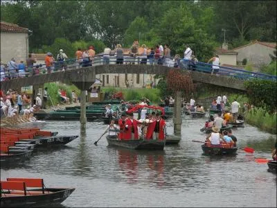 Quelle est la particularit de l'glise Sainte-Trinit du magnifique village de Coulon situ aux portes du Marais Poitevin dans les Deux-Svres ?