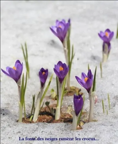 Qu'est-ce que le  puddlage  ?