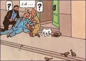 Savez-vous  piotter , mes choux ?