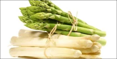 En cuisine on utilise ses pousses blanches, vertes ou violettes !