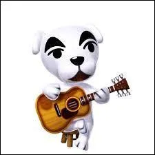 Qui est ce chanteur, galement guitariste ?