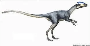 Quelle est l'tymologie du Guanlong ?