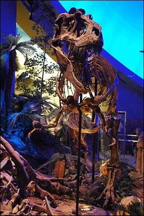 Quelle est l'tymologie du Gorgosaure ?