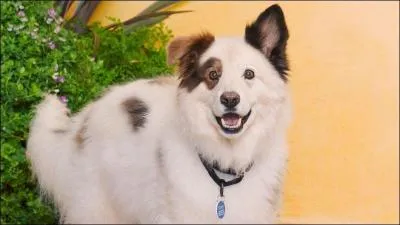 Qui est ce personnage ?