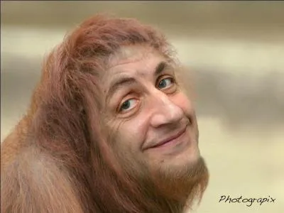 Ceci est-il un homme ou un singe ?