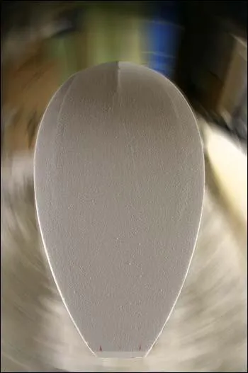 A quel mollusque ce  pied  appartient-il ?