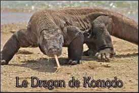 Combien mesure le dragon de Komodo ?