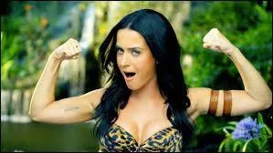On commence par une facile ! De quelle chanson est tire cette image ?