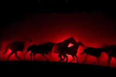 O se trouve l'Acadmie du spectacle questre fonde par l'envotant Bartabas ?