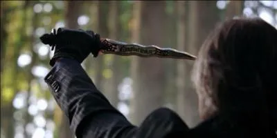 Allez, on complique les choses ! Cette fois-ci, on devine sous forme d'nigme ! Dans la fort enchant, on me nomme le Tnbreux. A Storybrook, qui suis-je ?