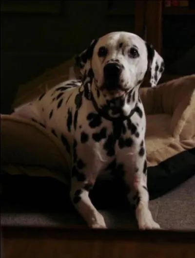 J'exerce la profession de psychiatre  Storybrook. Qui suis-je ?