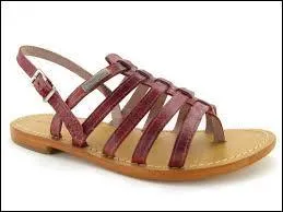 Quelle est la marque de cette chaussure ?