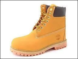 Quelle est la marque de cette chaussure ?