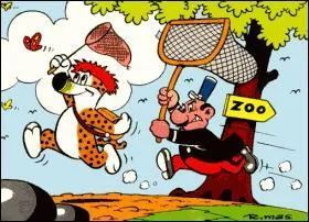 Ce félin pousuivi par son gardien de zoo est ...