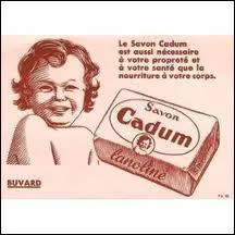 Je ne vous pargne pas avec celui-ci ! La papyrencausbibphilie, qu'est cette collection ?