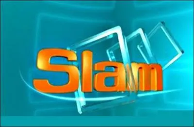 Sur France 3, qui prsente le jeu  Slam  ?
