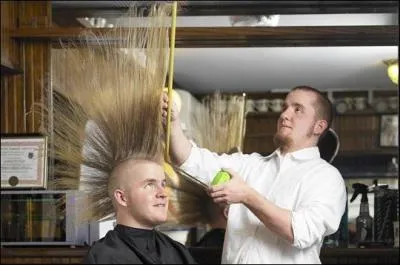 Quelle est la taille de la plus grande cr�te au monde ?