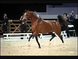 Quelle est cette robe ?