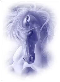 Peut-on reconnatre une race  sa robe ?