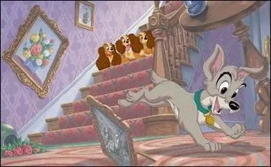 La Belle et le Clochard 2 : l'appel de la rue. Compltez les paroles de la chanson ''Sans barrires  :  Je peux pas passer toute ma vie comme a sur...  