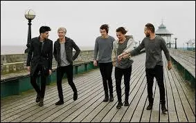 Qui apparat et chante en premier ?