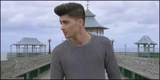 Aprs qui Zayn commence-t-il  chanter ?