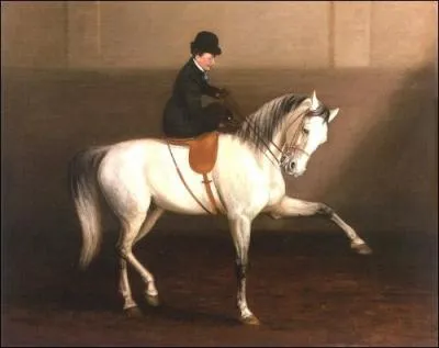 Quel type de chapeau cette amazone porte-t-elle ?