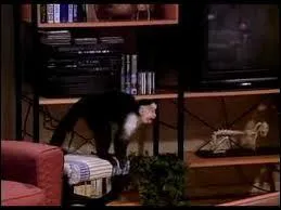 La chanson favorite de Marcel, qui met lui-mme le CD dans le lecteur, est ?