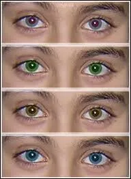 De quelle couleur sont ses yeux ? Ils sont :