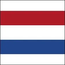 Quel est ce drapeau reprsent sur cette image ?