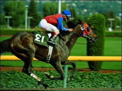 Ne pouvant pas, pour d'obscures raisons techniques, se soustraire  ce nombre, les jockeys de courses ont trouv le subterfuge de le porter  l'envers...