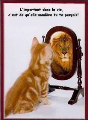 L'habit ne fait pas ...