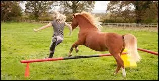 Que font les aides ?