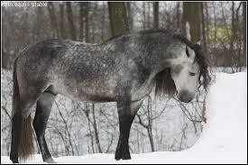 PRE est un diminutif de ...