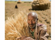 Quiz Sté40 - Agriculteurs du monde