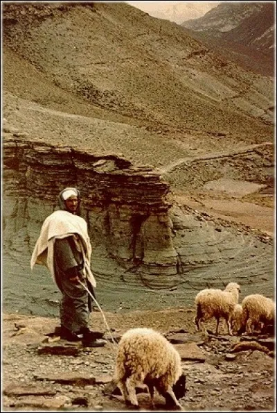 Cet homme est pasteur au Maroc, il se déplace avec son cheptel d'ovins entre la plaine, l'hiver, et la montagne, l'été. Quelle chaîne de montagnes est son environnement ?