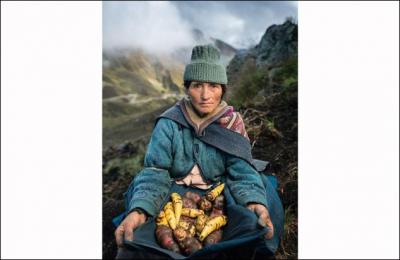 Cette femme cultive des tubercules jaunes, appelés "mashua". Elle est péruvienne. Dans quelle région du monde contribue-t-elle par son labeur à nourrir les habitants ?