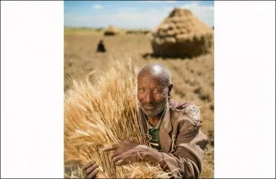 Après avoir visité Addis Abeba, vous aurez peut-être la chance de rencontrer la petite population de Tulu Re'i qui cultive les céréales. De quelle nationalité est ce paysan ?