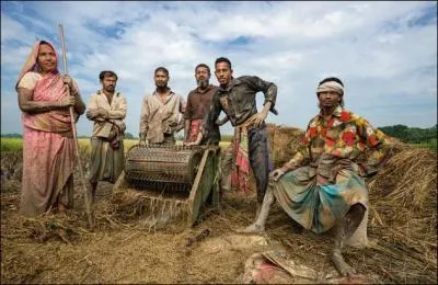 Ces villageois sont des petits agriculteurs au Bangladesh, et leurs productions servent à nourrir la population locale environnante. Quelle est la culture principale de leur pays ?