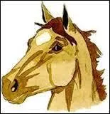 Quelle est cette marque ?