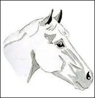 Quelle est cette marque ?