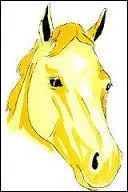 Quelle est cette marque ?