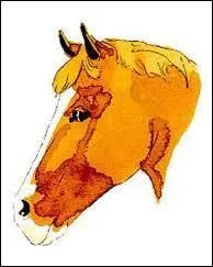 Quelle est cette marque ?