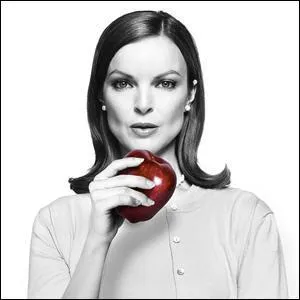 Bree Van de Kamp est interprte par :
