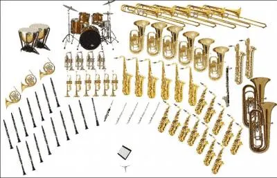 L'instrument le plus grave de la famille des cuivres est...