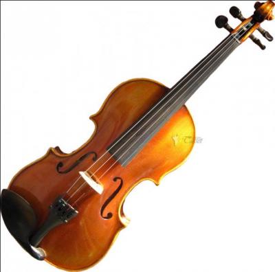 Les 4 cordes du violon sont...