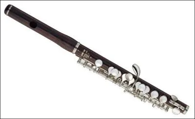 Le piccolo est de la famille des...