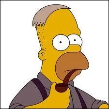 Quel est le personnage des Simpson reprsent sur la photo ?