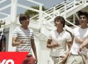 Quiz 'What Makes You Beautiful' (1D)
